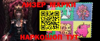 apvp Кингисепп