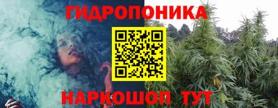 apvp Кингисепп
