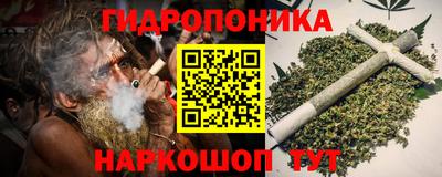 apvp Кингисепп