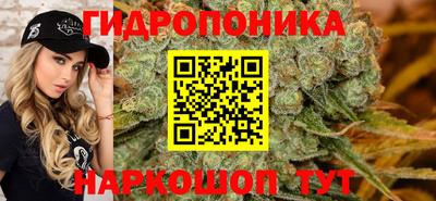spice Кинель