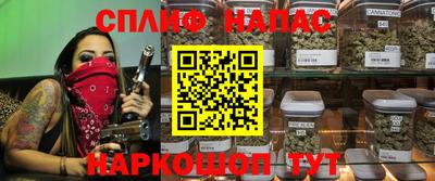 apvp Кингисепп